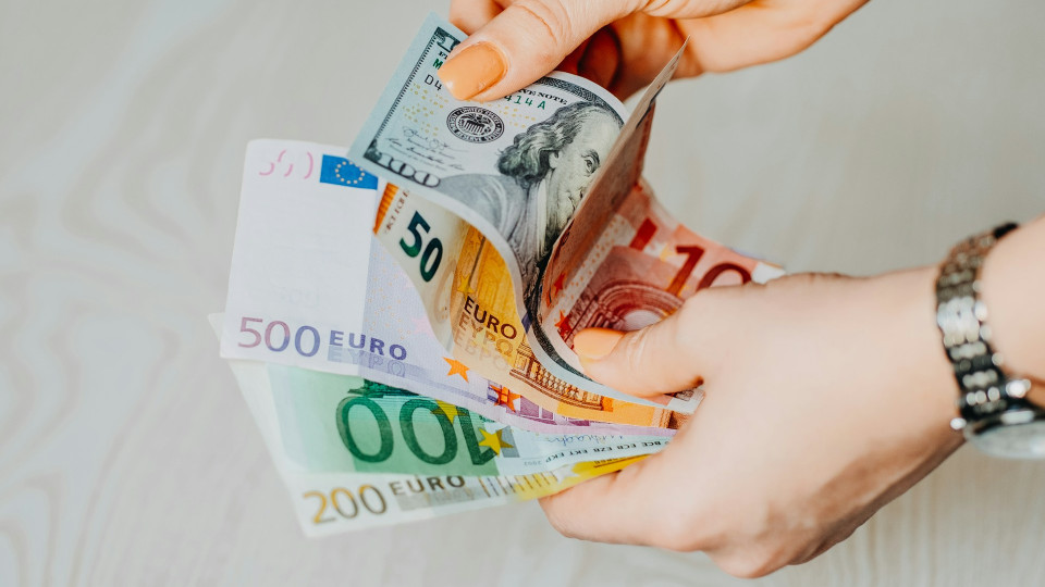 Україна може посилити прив'язку гривні до євро, відійшовши від долара — НБУ