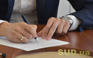 Коли скаргу у сфері державної реєстрації можуть повернути — типові помилки скаржників