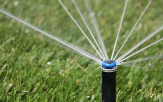 В налоговой объяснили, являются ли плательщиками ренты за специспользование воды садоводческие и огороднические общества