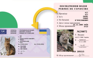 Сервисный центр МВД объяснил, почему водительское удостоверение не отображается в Кабинете водителя и в Дії