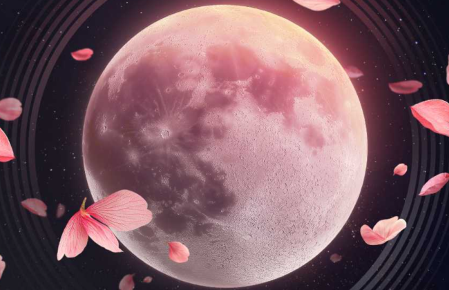 Над Украиной взойдет Цветочное полнолуние — что это за явление и когда его можно увидеть