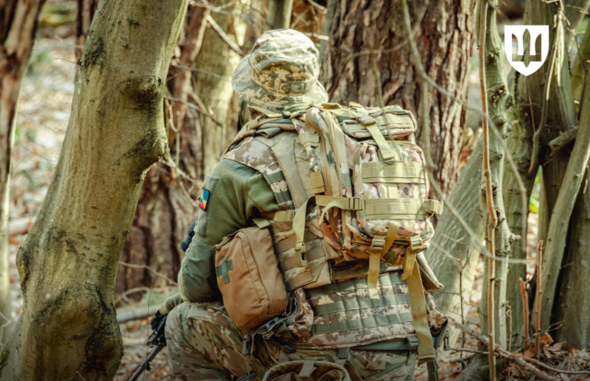 Могут ли иностранцы и лица без гражданства получить статус участника боевых действий – объяснение Минобороны