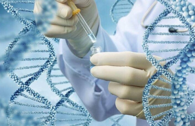 225 тысяч образцов ДНК – ВСУ переходит на автоматизированную генетическую базу для идентификации бойцов