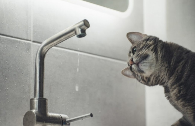 Для чего в Киеве снова проводят гидравлические испытания — в КГГА ответили