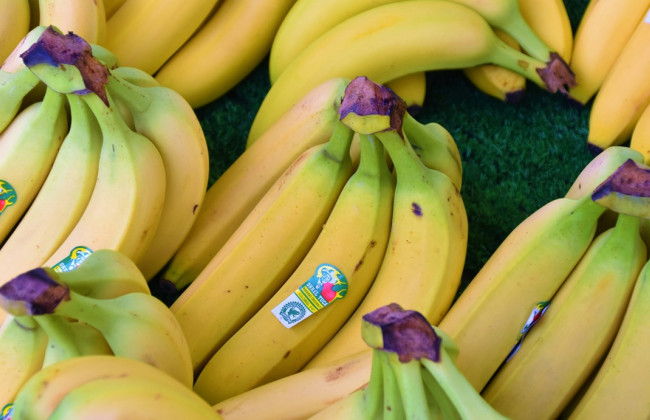 Бананы могут стать роскошью – климатологи предупреждают о новой опасности