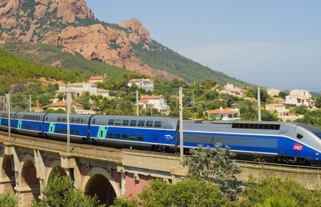 Франция изменила правила на путях из-за смерти котенка