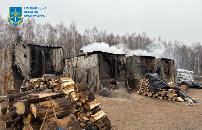 Выжигал древесный уголь и рубил деревья: в Хмельницкой области судили мужчину за вред окружающей среде