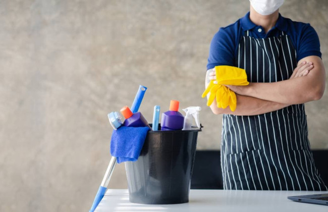 Трудовые отношения с домашним работником: кто платит ЕСВ