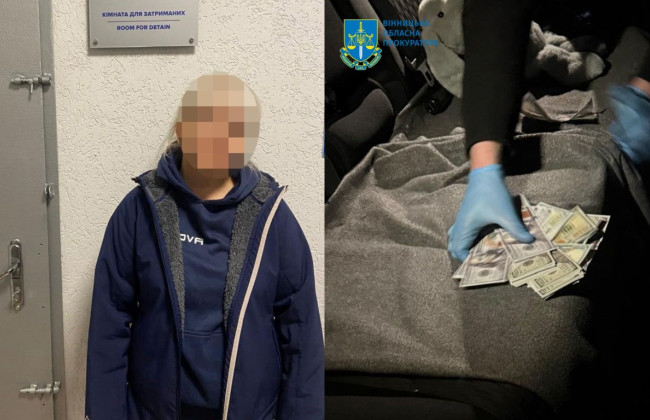 16 тысяч долларов за незаконное пересечение границы с Молдовой — в Виннице разоблачили учительницу лицея