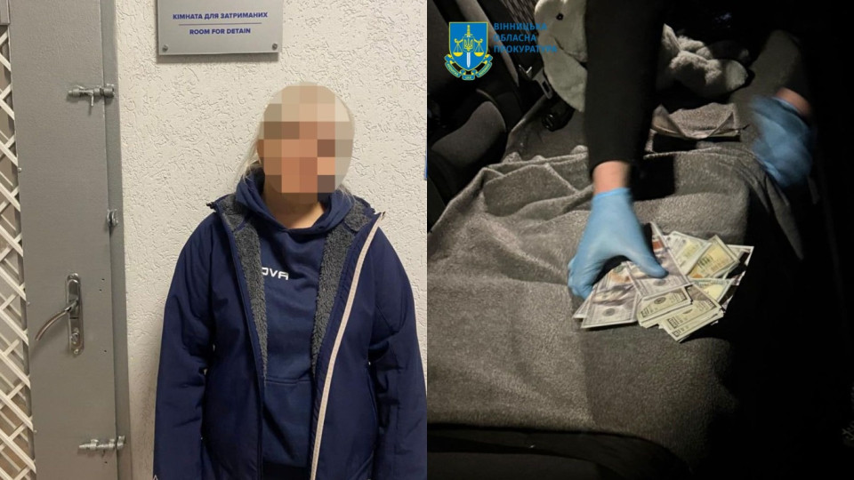 16 тисяч доларів за незаконний перетин кордону з Молдовою – у Вінниці викрили вчительку ліцею