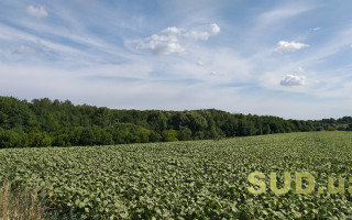 На Київщині аграрії не поділили земельну ділянку — конфлікт закінчився пошкодженою технікою