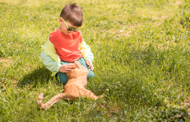 Когда в Украину придет тепло – синоптики рассказали
