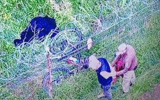 На велосипеді чагарниками в Україну нелегально намагався потрапити нідерландець