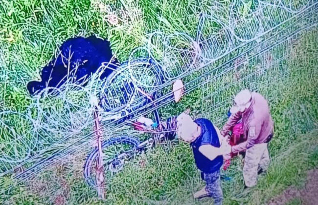 На велосипеде кустарниками в Украину нелегально пытался попасть нидерландец