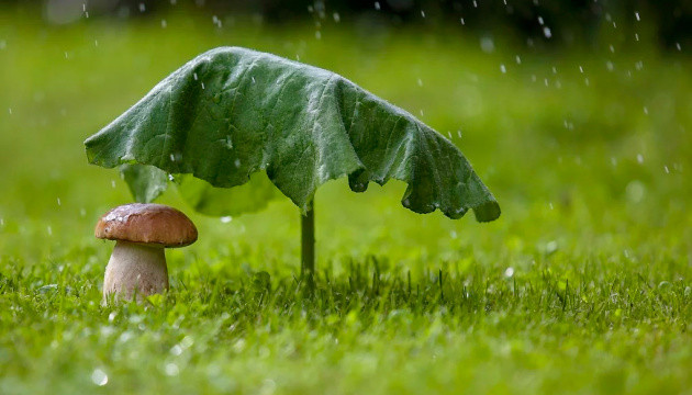 В Украине 23 мая будет тепло, но во многих областях прогнозируют дожди с грозами