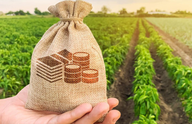 Налоговая объяснила, в каком случае ФЛП может быть плательщиком арендной платы за землю государственной или коммунальной собственности