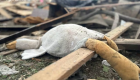 На Житомирщині загинули три дитини через ворожу атаку, фото наслідків