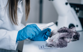 Верховний Суд: Якщо обрана експертна установа не може проводити певний вид експертизи, суд самостійно визначає, кому її доручити