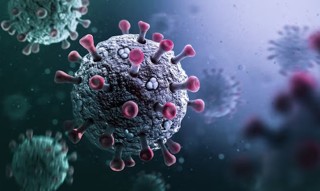 У Франції зафіксували новий варіант Covid-19