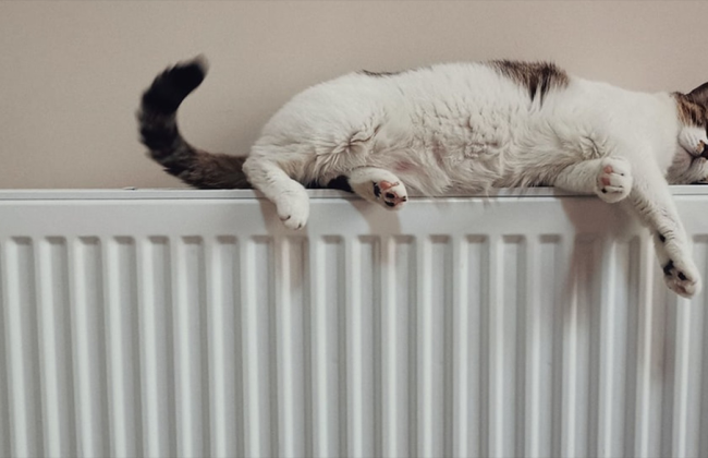 В Украине создали штаб по подготовке к следующему отопительному сезону — возглавит Алексей Кулеба