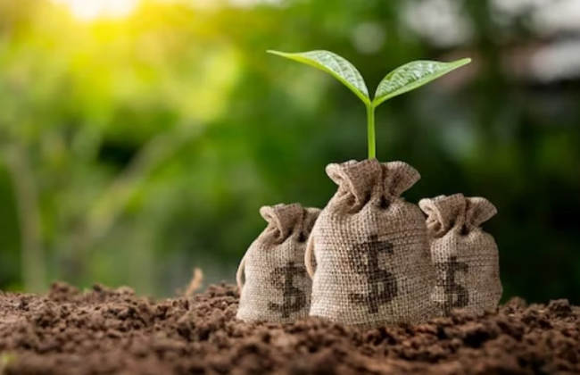 Налоговая разъяснила, как исчисляется сумма налога на недвижимое имущество, отличное от земельного участка, для физических лиц