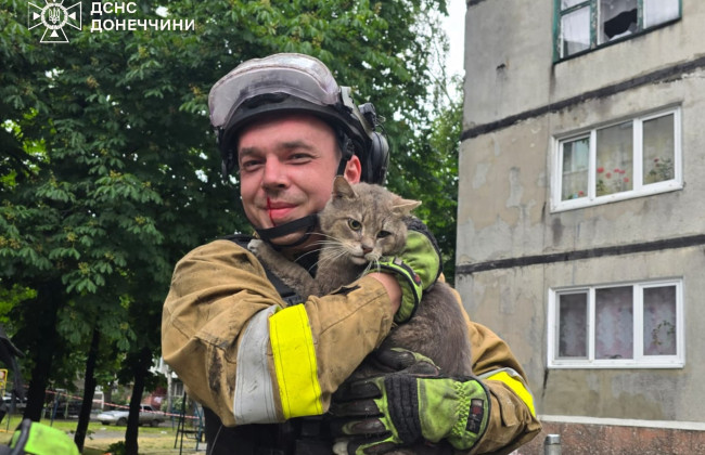 На Донеччині з-під руїн багатоповерхівки врятували кота, який пробув там дві доби