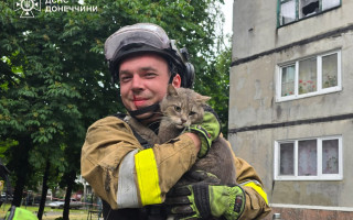 На Донеччині з-під руїн багатоповерхівки врятували кота, який пробув там дві доби