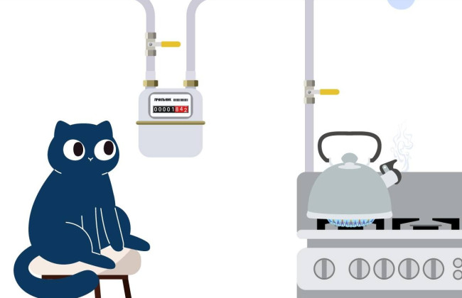 Для чого потрібна перевірка лічильника газу: важлива інформація для споживачів