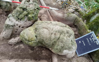 У джунглях Гватемали знайшли рештки міста народу майя віком 3 тисячі років