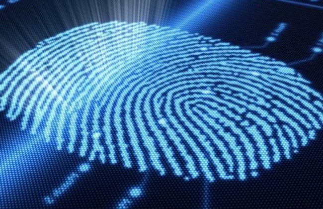 Британских туристов будет ждать сканирование отпечатков пальцев при въезде в ЕС