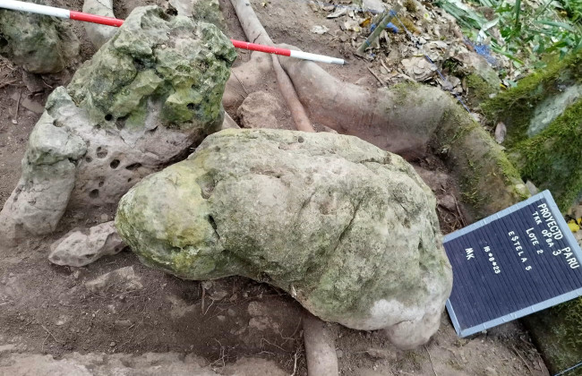 В джунглях Гватемалы найдены остатки города майя возрастом 3 тысячи лет