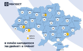 В Украине зарегистрировано 768 близнецов и 6 тройняшек – данные от Минюста