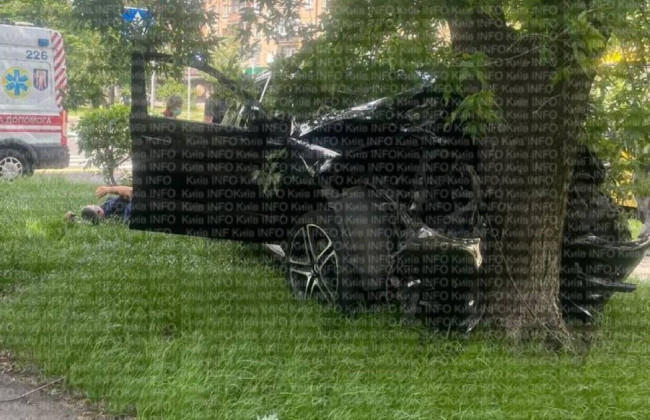 В Киеве женщина во время тест-драйва перепутала газ с тормозами и въехала в дерево