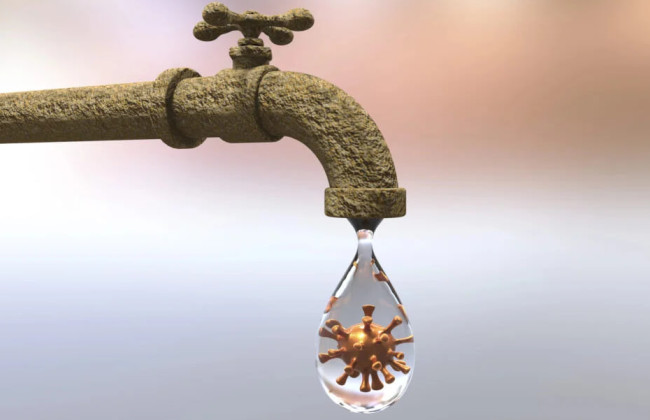 В Украине начался сезон холеры – Минздрав усилил эпиднадзор