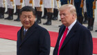 Трамп и Си Цзиньпин провели телефонный разговор