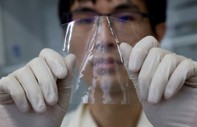 Без следа и токсинов – в Японии создали пластик, который растворяется в морской воде