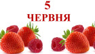 5 июня – какой сегодня праздник и главные события