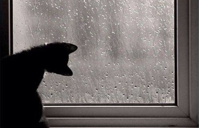 7 июня в Украине прогнозируют жару до +35, но местами возможны дожди