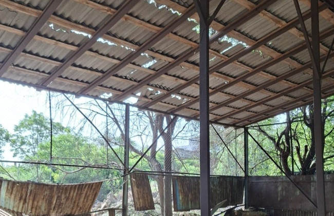 В Одесі внаслідок атаки шахедів загинула тварина у зоопарку