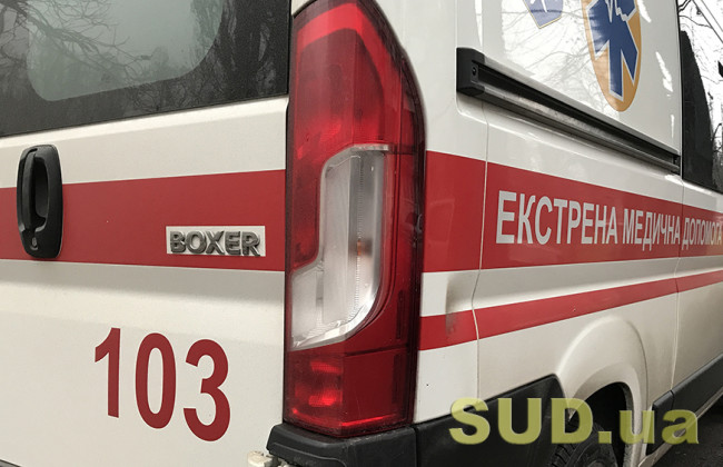 В Одессе свинья на прогулке укусила ребенка – видео