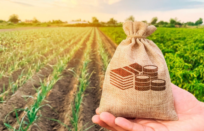 Налоговая объяснила, есть ли льгота по плате за землю для пенсионеров