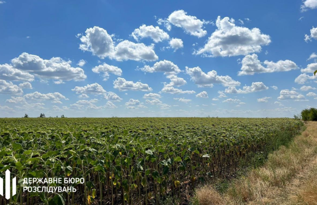 Фермеры годами незаконно засевали танковый полигон на Днепропетровщине — землю вернули Минобороны
