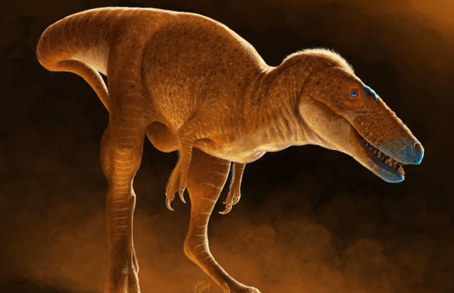 Палеонтологи открыли новый вид динозавра, являющегося родственником известного Тиранозавра рекса