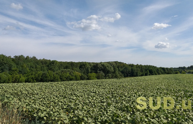 Во Львовской области сообщили о подозрении экс-главе сельсовета, допустившему земельную махинацию