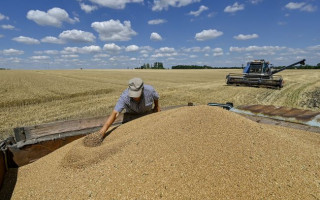 ЄС скасував дозвільні процедури для деякої української агропродукції
