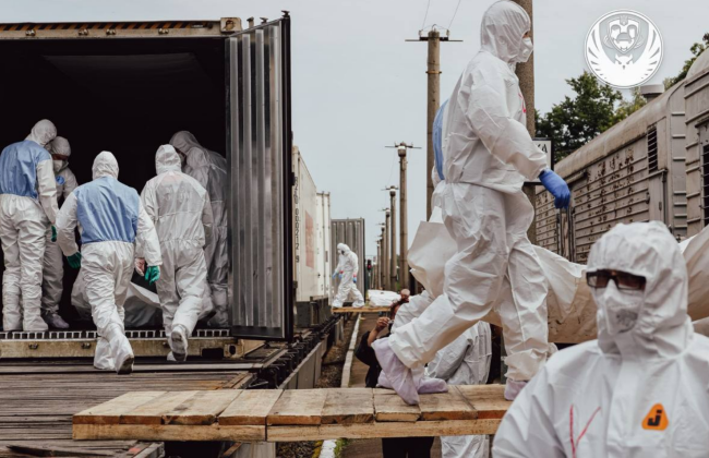 Во время репатриаций Россия передала Украине тела российских военных, смешанные с телами украинских защитников, — МВД