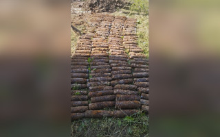Во Львове в саду возле дома нашли 138 снарядов времен Второй мировой войны