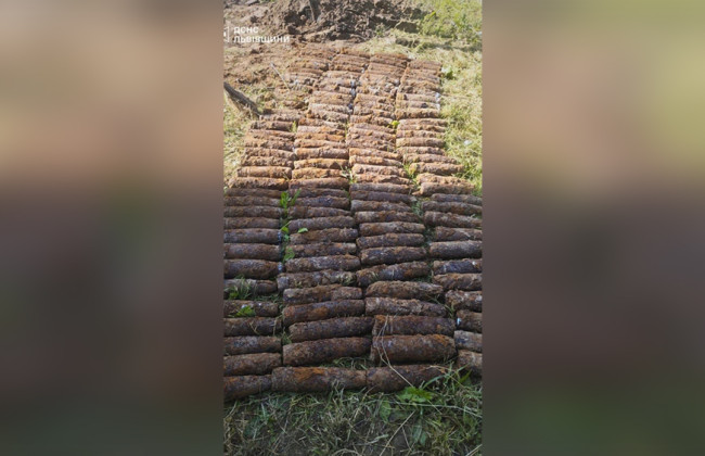 Во Львове в саду возле дома нашли 138 снарядов времен Второй мировой войны