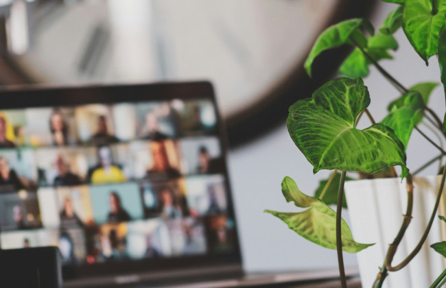 В Британии юрист обнажился перед коллегами во время онлайн-совещания и потерял право работать в юридической сфере