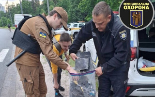 В одном из парков Киева обнаружили обломки БпЛА, — Муниципальная охрана